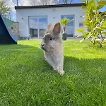 Apartment Cozy, New Country Kosice