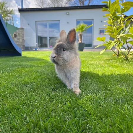 Apartamento Cozy, New Country Košice