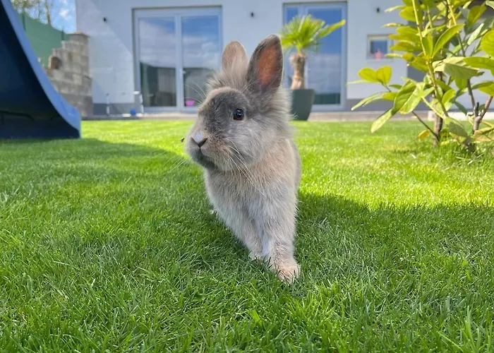 Διαμέρισμα Cozy, New Country Košice